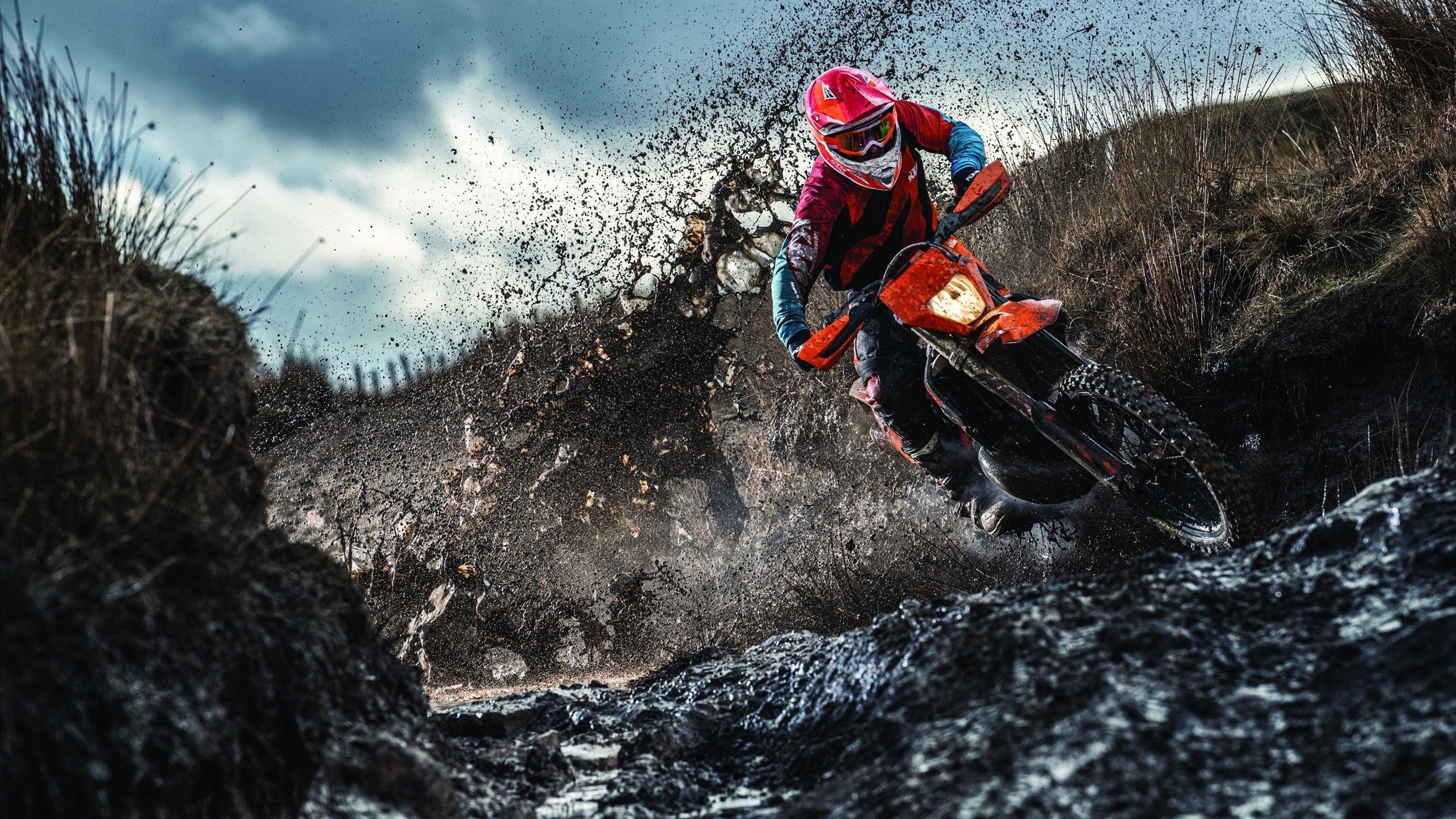 _骑士核心状态爆棚，季后赛希望大增_，骑士新阵容