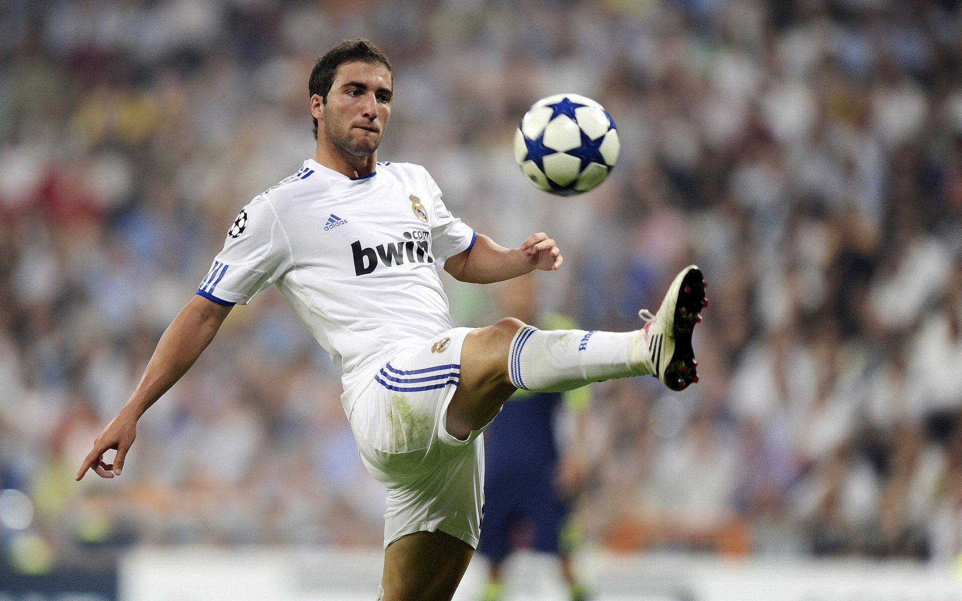 主教练多里瓦尔·儒尼奥尔在美洲杯后面临重建压力，儒尼奥尔 里昂