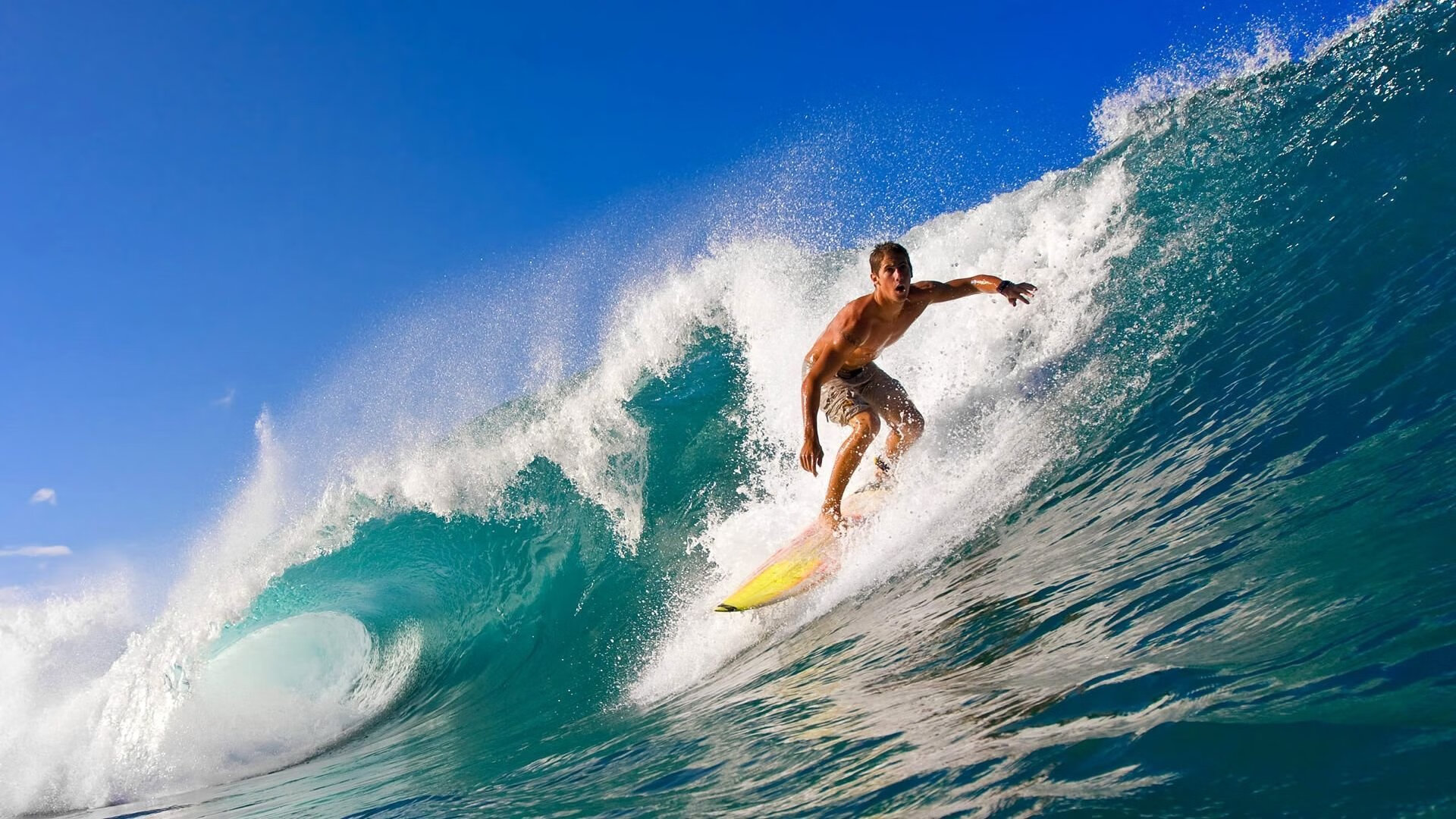 德甲俱乐部通过数字化手段提升粉丝互动，德甲升级